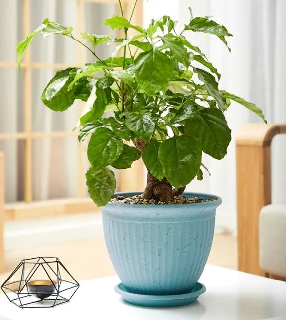 Lightweight Plastic Flower Pot